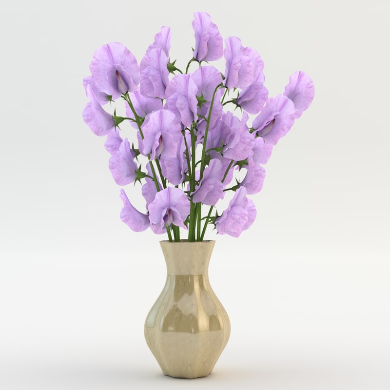 Sweet Peas Vase Violet 3d Max