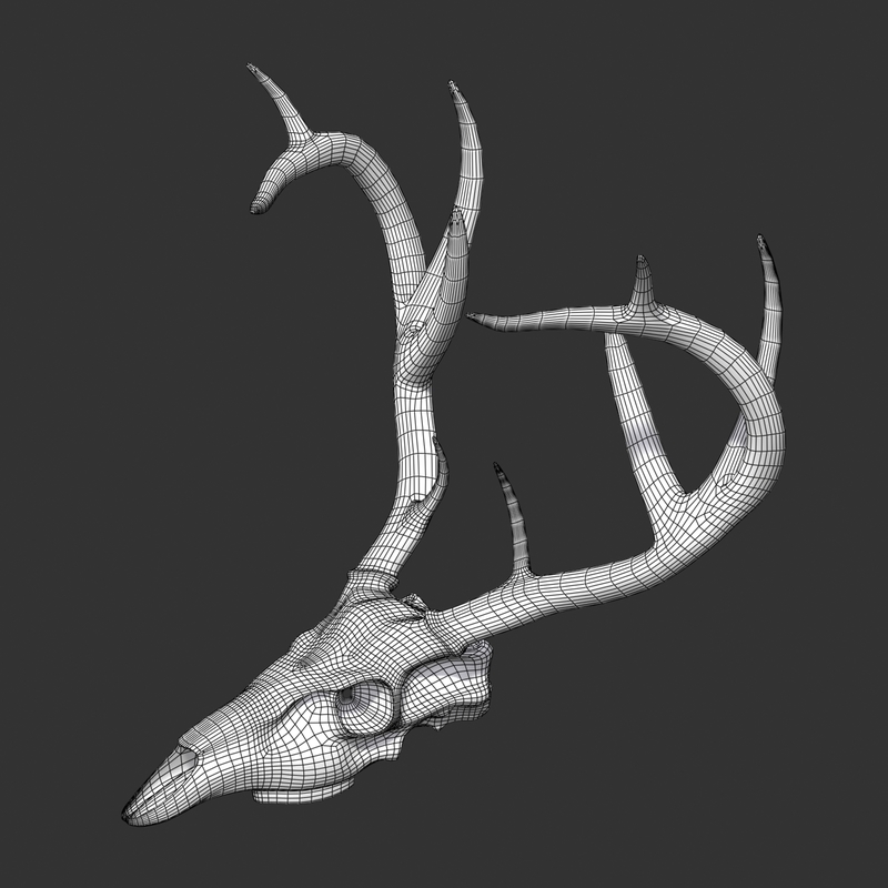 3d model deer skull