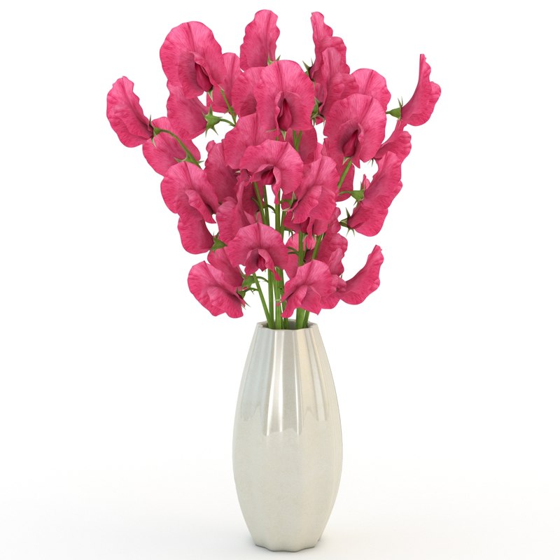 Sweet Peas Vase Red 3d Model