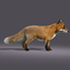 3d red fox rigged model