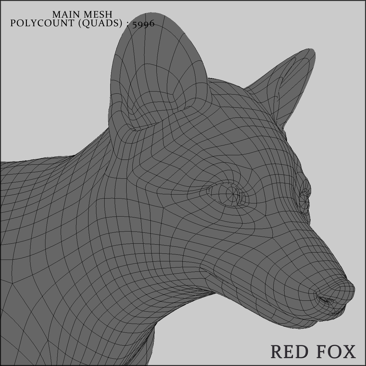 3d red fox rigged model