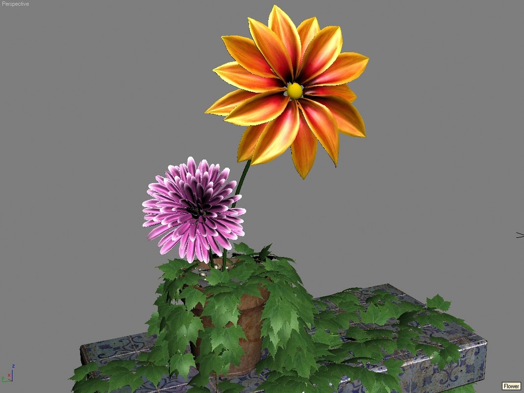 exotic flowers  3d  model