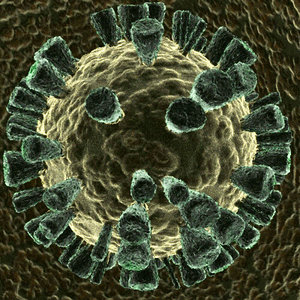 max hiv virus