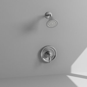 3ds max shower