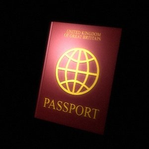 passport 3d model