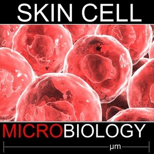 3ds max skin cell