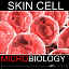 3ds max skin cell