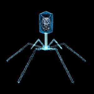 bacteriophage virus max