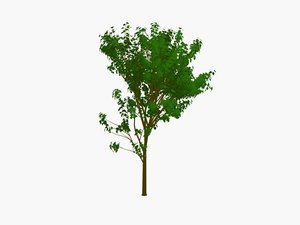 3d model trees