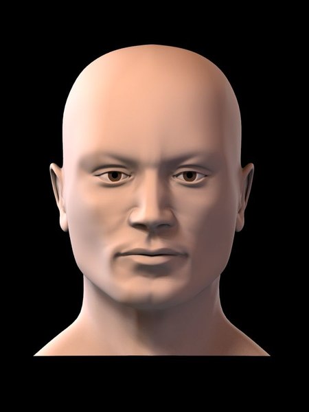 3d model generic head