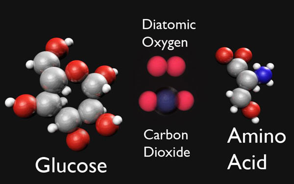 Молекула 3d. Глюкоза молекулы 3д. Глюкоза 3д модель. Глюкоза и кислород реакция