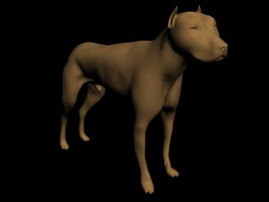 3d pitbull ready animation model