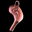 uterus ovaries 3d model