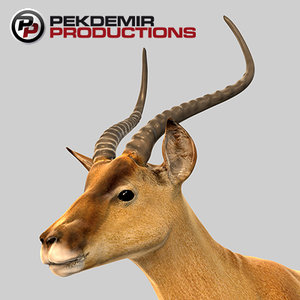 3d impala antelope