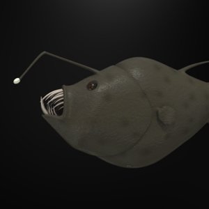 3d humpback anglerfish fish