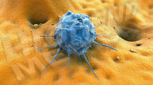 3d model of stem cell