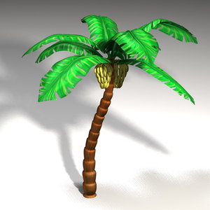 3d model banana tree palm