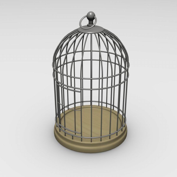 bird cage model