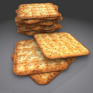 3d dry biscuit model