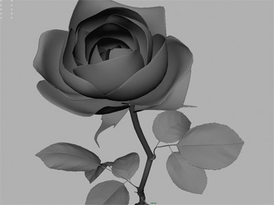Rose Hotel