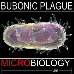 3d bubonic plague