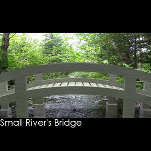 bridge small cross max free