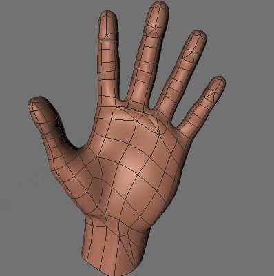 3d man hand model