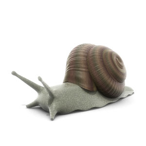 3d model snail