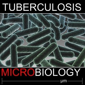 max tuberculosis virus bacteria