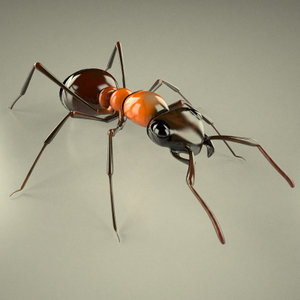 3d model formica rufa ant