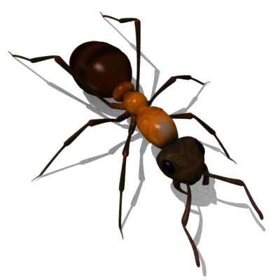 3d model formica rufa ant