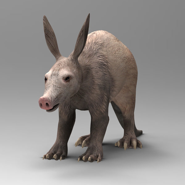 aardvark orycteropus 3d model