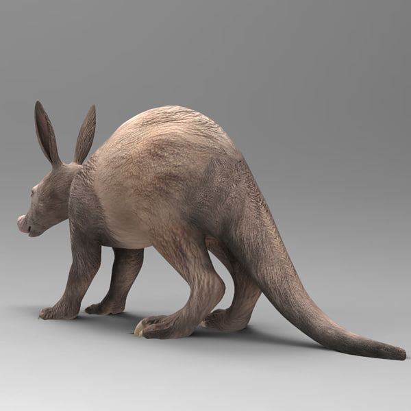 aardvark orycteropus 3d model