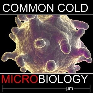 common cold virus max