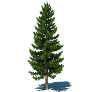 3dsmax pine tree
