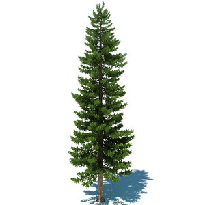 3ds max pine tree