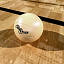 max volleyball arena ball