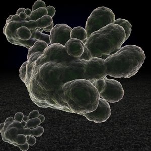 3d single celled amoeba model