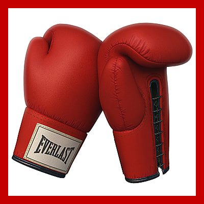 boxing gloves 3d model