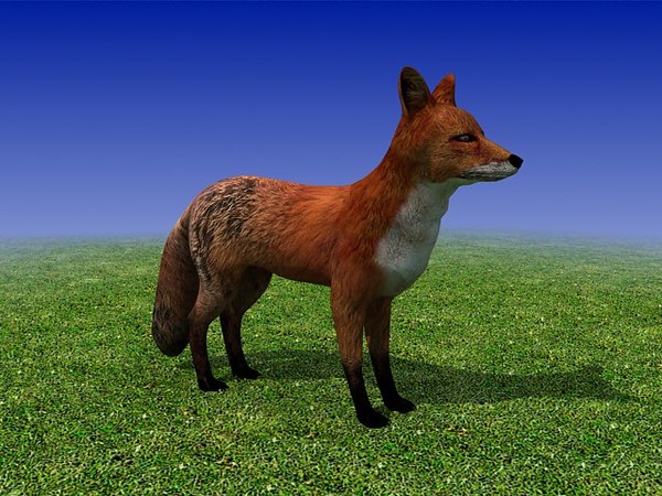 狐狸3d模型
