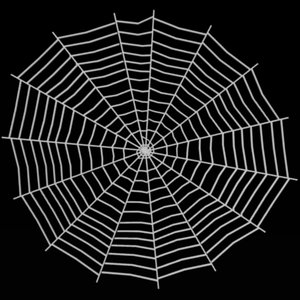 maya spider spiderweb web