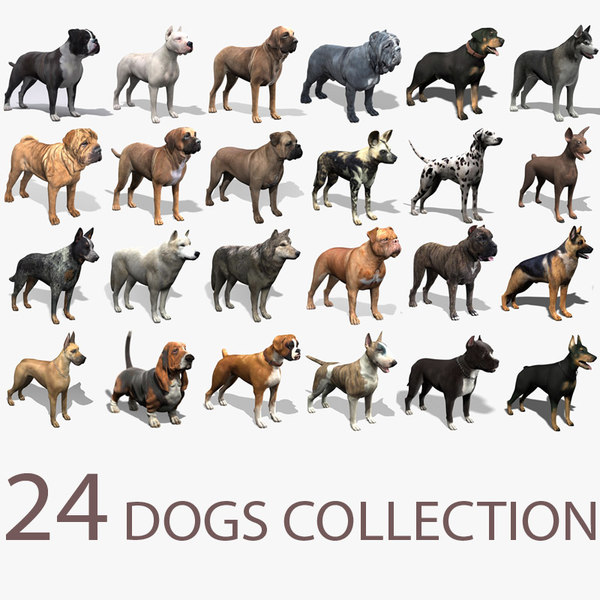 How Much Do You Cost For Dog