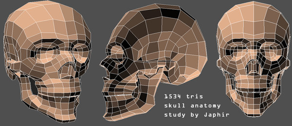 Skull Anatomy 3d Model Skull Anatomy 3d Model