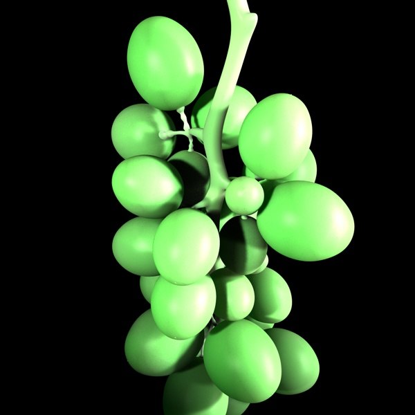 3d grapes model