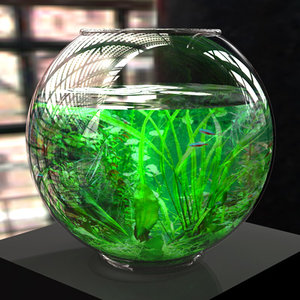 bryce fishbowl fish