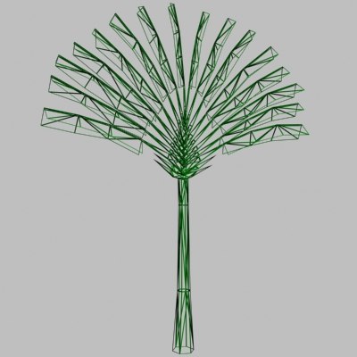 traveler tree palm 3d model