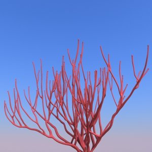 coral 3d model