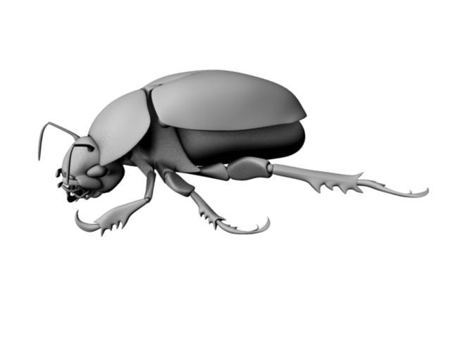 3d scarab beetle