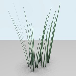 3d model tall grass