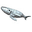 3d humpback whales